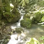 Bellavista Arsita