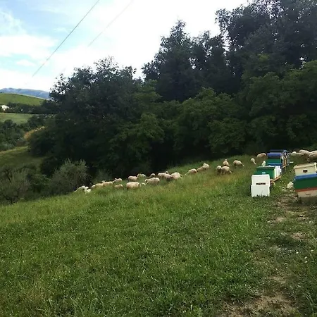 Bellavista Farm stay