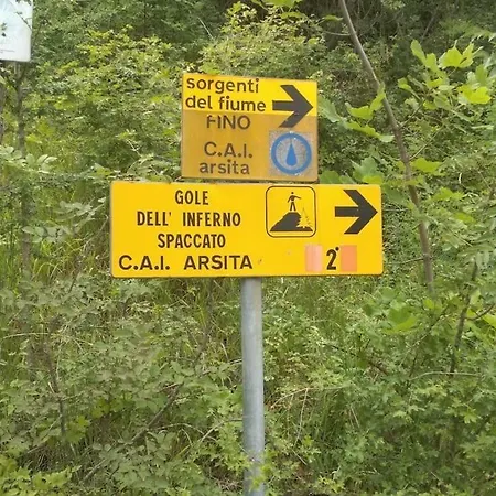 Gospodarstwo agroturystyczne Bellavista Arsita