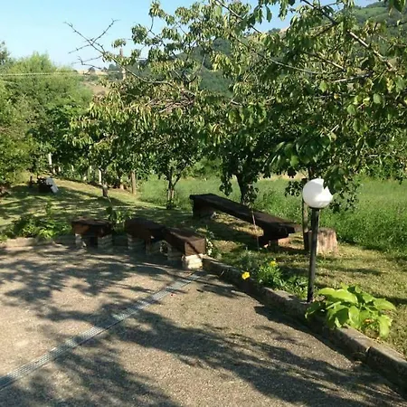 Bellavista *
