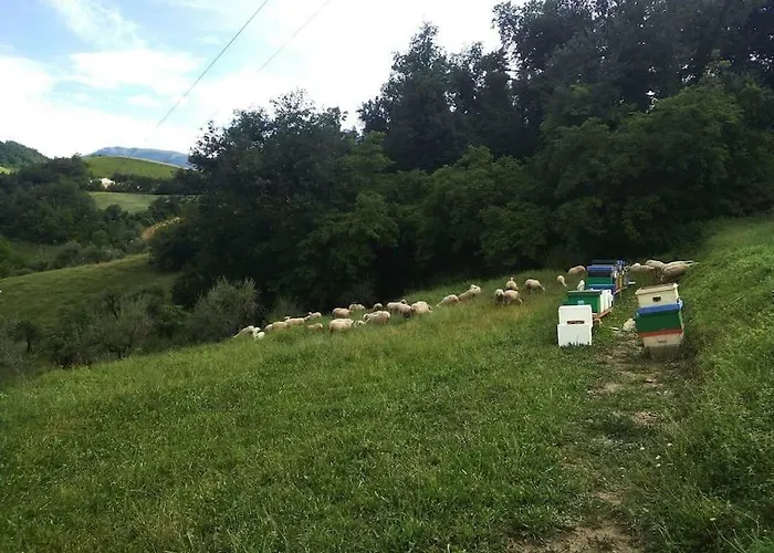 Bellavista Фермерский дом